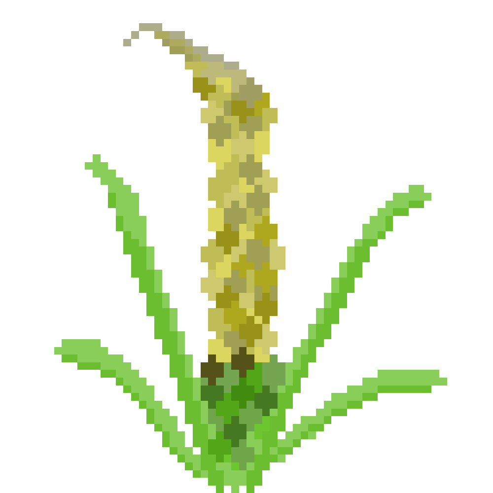 Wheat Plant idle gif
